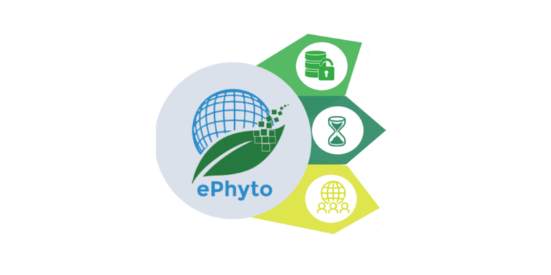 Phyto Sanitary Certification